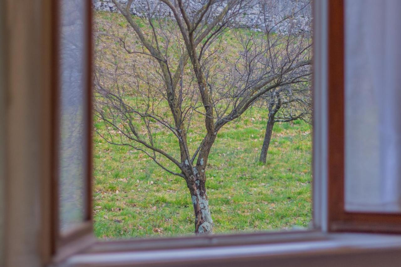 Villa Gard By Wonderful Italy ベッラージョ エクステリア 写真
